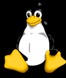 Linux Penguin