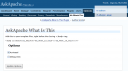 AskApache What Is This Plugin Panel