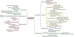 Apache Security Model - In Color