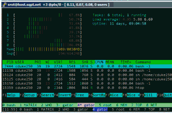 running htop in bash over ssh to different server