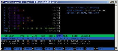 The HTOP command in full color to manage mysql