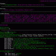 Apache Server Info in Lynx generated by mod_status