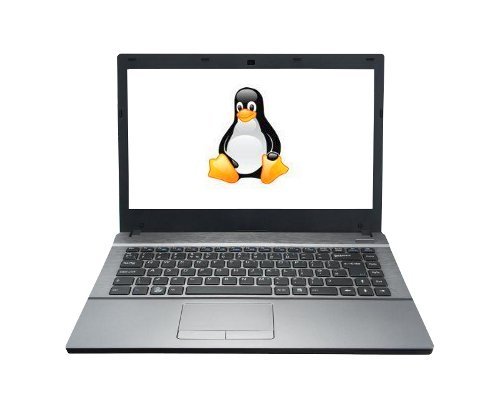 kingpenguinnotebookcomputer