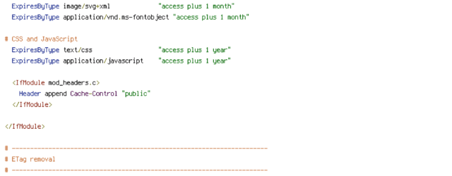 DEFLATE, force-no-vary, HTTP_HOST, HTTPS, INCLUDES, REQUEST_FILENAME, REQUEST_URI, SERVER_PORT, static, TIME