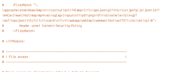 DEFLATE, ENV, HTTP_HOST, HTTPS, INCLUDES, ORIGIN, PROTO, REQUEST_FILENAME, REQUEST_URI, SCRIPT_FILENAME, SERVER_ADDR, TIME