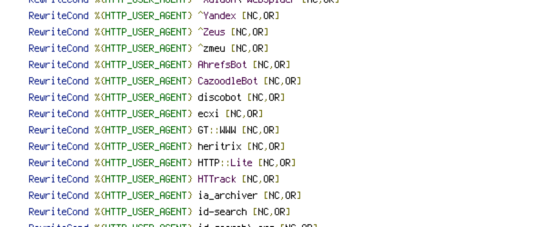 GET, HTTP_COOKIE, HTTP_REFERER, HTTP_USER_AGENT, POST, QUERY_STRING, REQUEST_FILENAME, REQUEST_METHOD, REQUEST_URI, SCRIPT_FILENAME