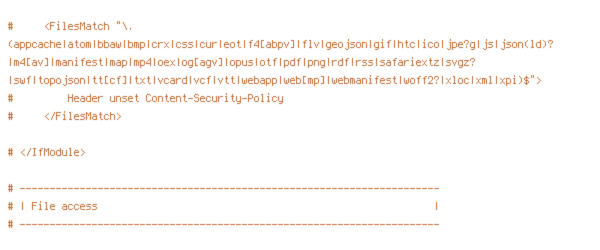 DEFLATE, ENV, HTTP_HOST, HTTPS, INCLUDES, ORIGIN, PROTO, REQUEST_FILENAME, REQUEST_URI, SCRIPT_FILENAME, SERVER_ADDR, TIME