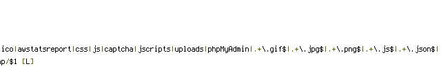 HTTP_REFERER, HTTP_USER_AGENT, QUERY_STRING, REQUEST_METHOD, REQUEST_URI, THE_REQUEST