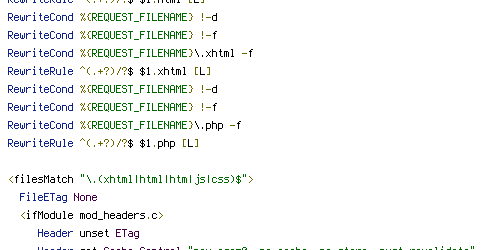 no-cache, Pragma, REQUEST_FILENAME