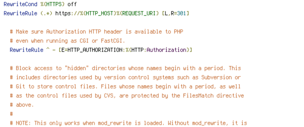 ENV, HTTP_HOST, HTTPS, no-gzip, protossl, REQUEST_FILENAME, REQUEST_URI