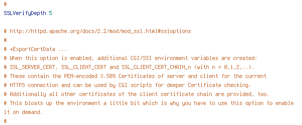 ENV, HTTPS, REQUEST_URI, SERVER_NAME, SSL_CLIENT_CERT, SSL_SERVER_CERT, usingSSL