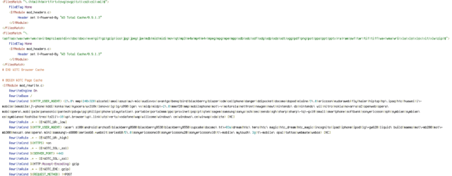 DEFLATE, ENV, HTTP_COOKIE, HTTP_USER_AGENT, HTTPS, no-gzip, POST, QUERY_STRING, REQUEST_FILENAME, REQUEST_METHOD, REQUEST_URI, SERVER_PORT, W3TC_ENC, W3TC_SSL, W3TC_UA