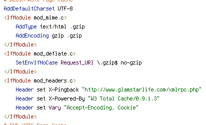 no-gzip, REQUEST_URI