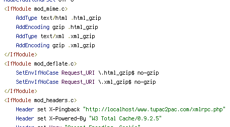 no-gzip, REQUEST_URI