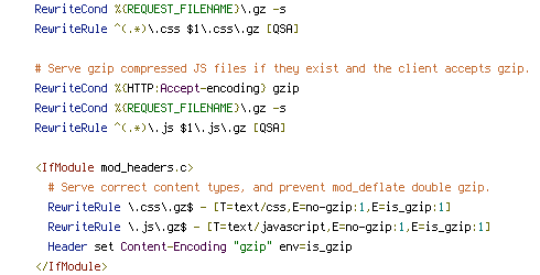 HTTP_HOST, HTTPS, no-gzip, REQUEST_FILENAME, REQUEST_URI, X-Forwarded-Proto