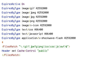 DEFLATE, ENV, HTTP_CACHE_CONTROL, HTTP_CONNECTION, HTTP_KEEP_ALIVE, If-Modified-Since, If-None-Match, REQUEST_FILENAME, REQUEST_URI