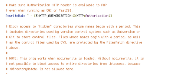 ENV, HTTP_HOST, HTTPS, no-gzip, protossl, REQUEST_FILENAME, REQUEST_URI