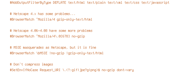 DEFLATE, HTTPS, no-gzip, POST, REQUEST_FILENAME, REQUEST_URI