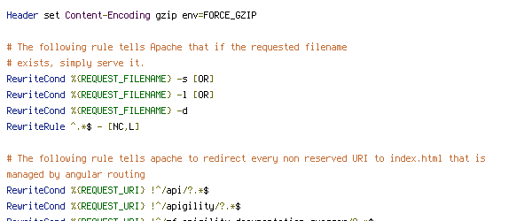 ENV, no-gzip, REQUEST_FILENAME, REQUEST_URI