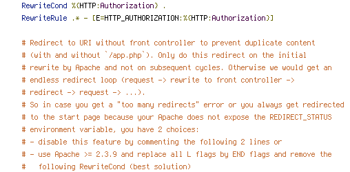 HTTP_HOST, no-gzip, REQUEST_FILENAME, REQUEST_URI