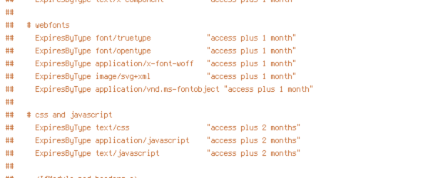 HTTP_HOST, HTTPS, REQUEST_FILENAME, SERVER_PORT, static, TIME