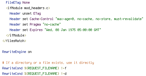 no-cache, Pragma, REQUEST_FILENAME