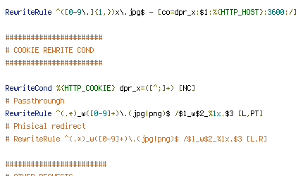 HTTP_COOKIE, HTTP_HOST, REQUEST_FILENAME, REQUEST_URI