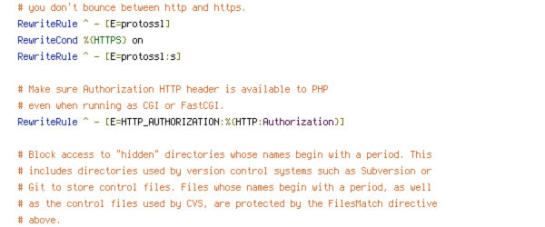 ENV, HTTP_HOST, HTTPS, no-gzip, protossl, REQUEST_FILENAME, REQUEST_URI