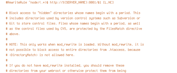 HTTP_HOST, no-gzip, REQUEST_FILENAME, REQUEST_URI, SERVER_NAME