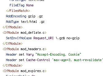 no-gzip, REQUEST_URI