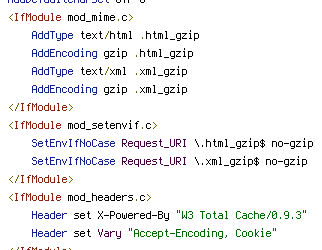 no-gzip, REQUEST_URI