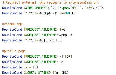 DEFLATE, HTTP_REFERER, QUERY_STRING, REQUEST_FILENAME, REQUEST_URI, SCRIPT_FILENAME, THE_REQUEST