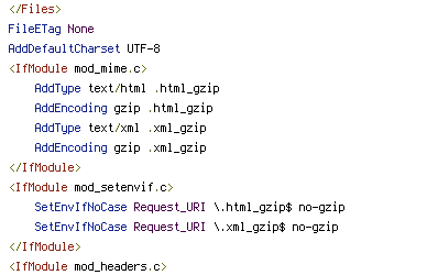 no-gzip, REQUEST_URI