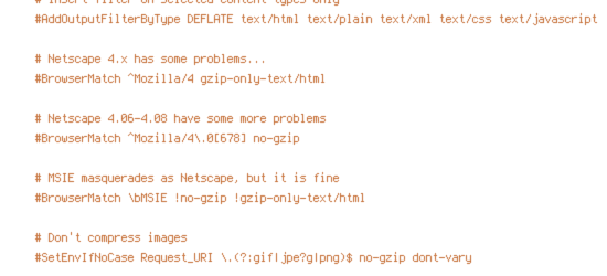 DEFLATE, HTTPS, no-gzip, POST, REQUEST_FILENAME, REQUEST_URI