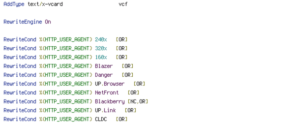 HTTP_HOST, HTTP_USER_AGENT, HTTPS, INCLUDES, POST, QUERY_STRING, REQUEST_METHOD, REQUEST_URI