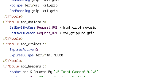 no-gzip, Pragma, REQUEST_URI