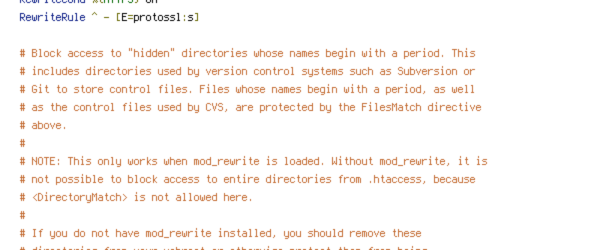 ENV, HTTP_HOST, HTTPS, no-gzip, protossl, REQUEST_FILENAME, REQUEST_URI