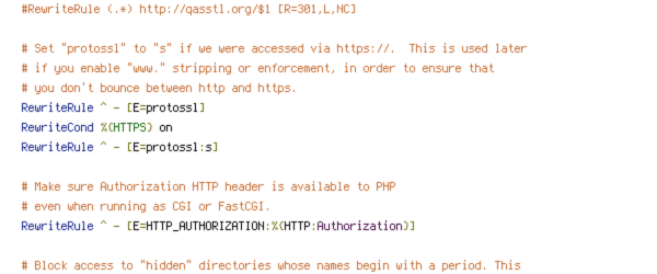 ENV, HTTP_HOST, HTTPS, no-gzip, protossl, REQUEST_FILENAME, REQUEST_URI
