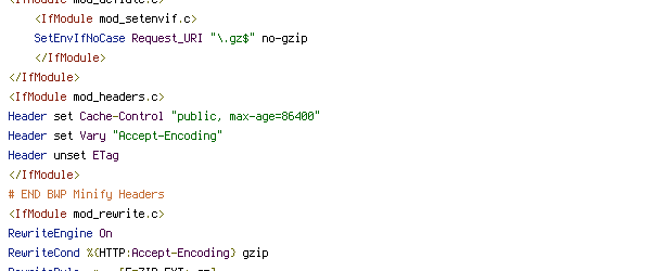 ENV, If-Modified-Since, no-cache, no-gzip, POST, PUT, REQUEST_FILENAME, REQUEST_URI, ZIP_EXT