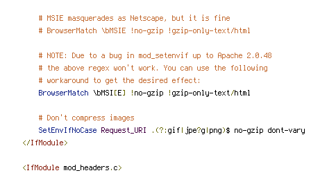 DEFLATE, no-gzip, REQUEST_URI