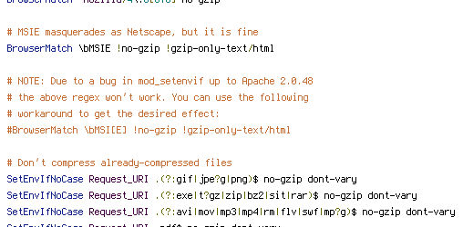 DEFLATE, no-gzip, REQUEST_URI
