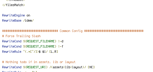 no-cache, Pragma, REQUEST_FILENAME, REQUEST_URI
