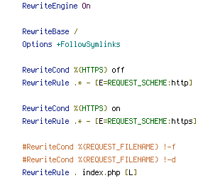 HTTPS, REQUEST_FILENAME, REQUEST_SCHEME