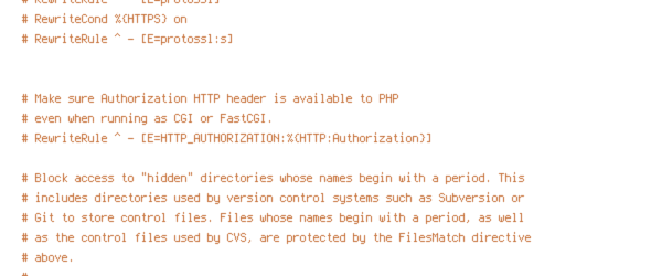 ENV, HTTP_HOST, HTTPS, no-gzip, protossl, REQUEST_FILENAME, REQUEST_URI