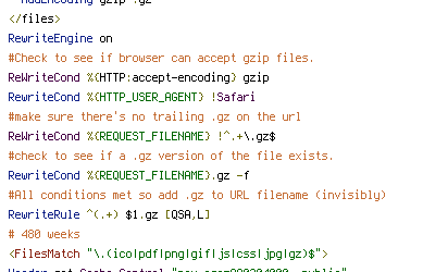 HTTP_USER_AGENT, REQUEST_FILENAME