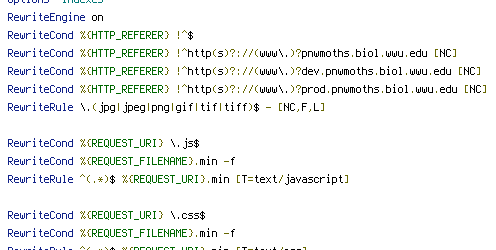 HTTP_REFERER, REQUEST_FILENAME, REQUEST_URI