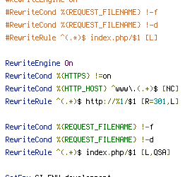 ENV, HTTP_HOST, HTTPS, REQUEST_FILENAME