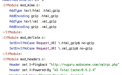 no-gzip, REQUEST_URI