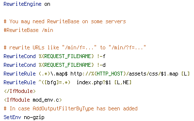 HTTP_HOST, no-gzip, REQUEST_FILENAME