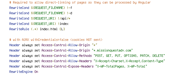 GET, HTTP_HOST, HTTP_USER_AGENT, HTTPS, ORIGIN, POST, PUT, REQUEST_FILENAME, REQUEST_METHOD, REQUEST_URI, static